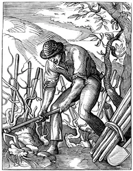 Vinificatore, 16° secolo, 1849
