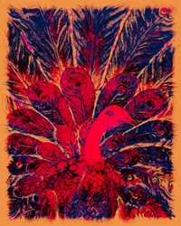 Il pavone dorato di Bahaullah, 2016