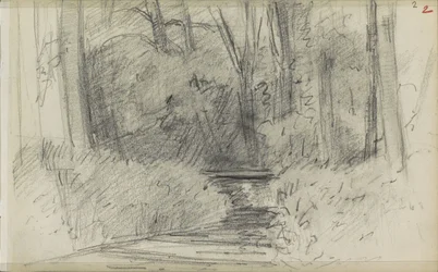Fiume in un bosco