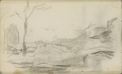 Paesaggio con un albero