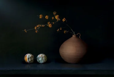 Natura morta scura con frutta