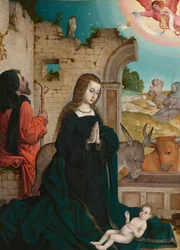 La Natività, 1508-1519 circa (olio su tavola)
