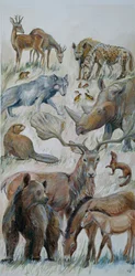 Animali di Boxgrove identificati dallo scavo (acquerello su carta)