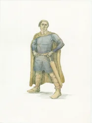Re Harold, c. 1066 2015