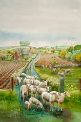 Paesaggio rurale