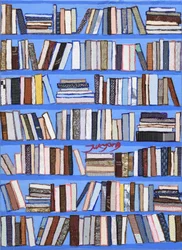 Collezione di librerie colorate