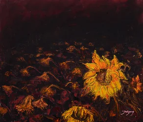 Girasoli scuri e luminosi