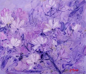 Fiori di lavanda da sogno