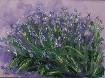 Iris viola rigogliosi