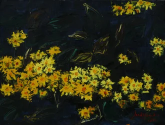 Bagliore del giardino notturno