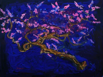 Notte dei fiori di ciliegio rosa
