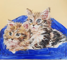 Due gattini coccolosi