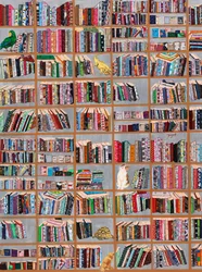 Gli stravaganti amici della biblioteca
