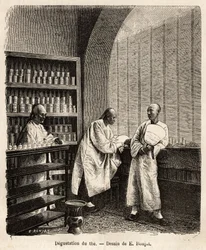 La degustazione del tè in una fabbrica di polvere da sparo a Fati Bay (provincia di Canton)