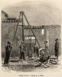 La pesatura del tè prima della sua spedizione sui mercati commerciali in una fabbrica di polvere da sparo a Fati Bay (Provincia di Canton), inciso da un disegno di J.Ferat illustrante il viaggio in Cina, di J. Thompson, nel 1870-1872, pubblicato in "Le tou