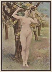 Primavera, donna con fiori di albero