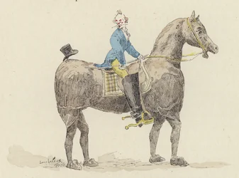 Clown su cavallo in costume
