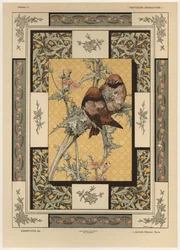 Uccelli, tavola 35 da 