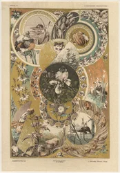 Cerchi, tavola 27 da 