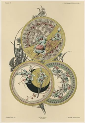 Fiori e mosche, tavola 12 da 