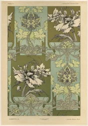 Fiori, tavola 25 da 