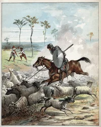 Don Chisciotte uccide delle pecore credendo che siano cavalieri - Don Chisciotte a cavallo trafigge le pecore che scambia per cavalieri - Illustrazione di Jules David (1808-1892) da Histoire de Don Quixote (Don Quixote) - 1887 - di Miguel de Cervantes
