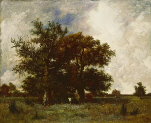 Querce di Fontainebleau