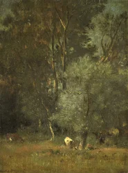 Veduta nel Bosco