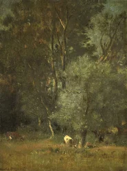 Vista nel bosco