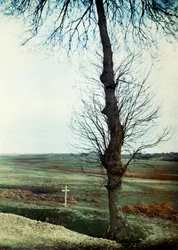 Una tomba con diversi morti sul ciglio della strada durante la battaglia della Marna a est di Parigi, settembre 1914