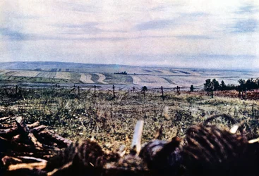 Collina 304 con filo spinato vicino a Verdun, settembre 1916