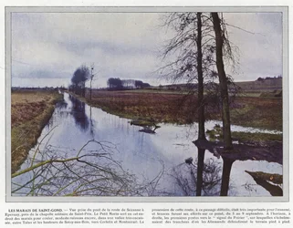 Le paludi di Saint-Gond
