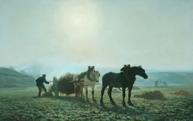 Cavalli in un campo, 1873