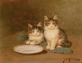 Due gattini con una ciotola vuota