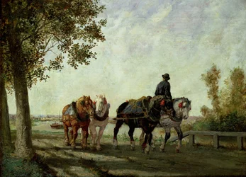 Immagine sconosciuta