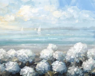 Serenità dell