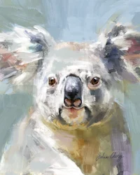 Lo sguardo dolce del koala