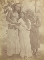 Gruppo cingalese sotto un albero, 1878