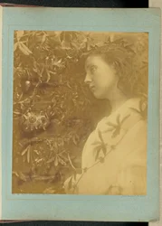 Maud «È caduta una splendida lacrima» / «Dal fiore della passione al cancello.»