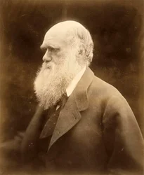 Ritratto di Charles Darwin