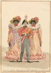 Un gruppo delle Isole Sandwich