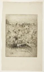 Il mio cortile