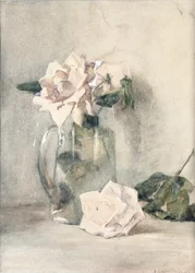 Studio di Rose