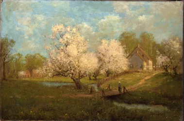 Fiori di primavera