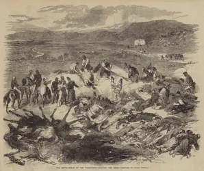 Il Campo di Battaglia del Tchernaya, seppellendo i Morti