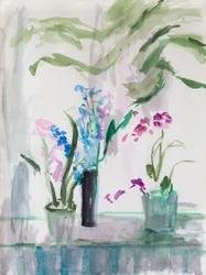 Florista Grey Day, 2017