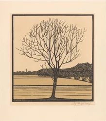 Albero spoglio