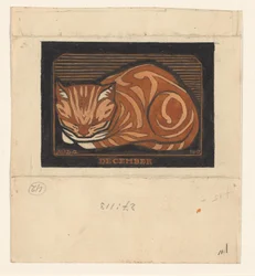 Gatto cipriano sdraiato