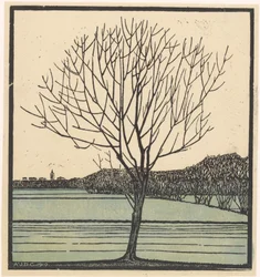Albero spoglio