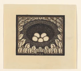 Nido di uccelli con uova